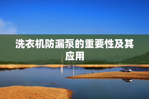 洗衣机防漏泵的重要性及其应用