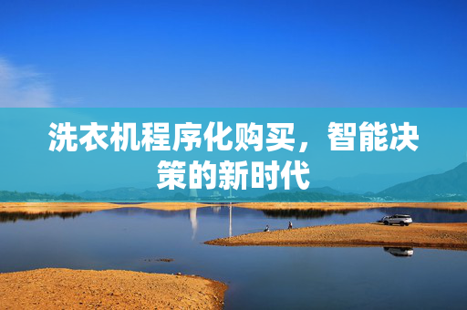 洗衣机程序化购买，智能决策的新时代