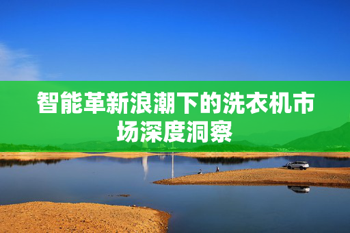 智能革新浪潮下的洗衣机市场深度洞察