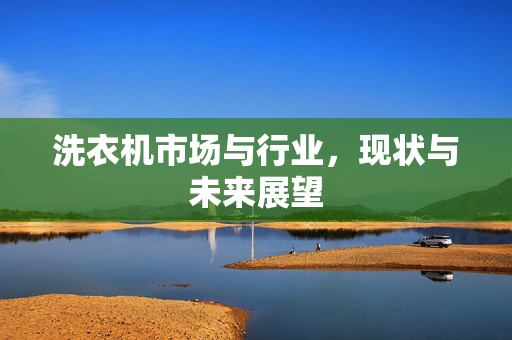 洗衣机市场与行业，现状与未来展望