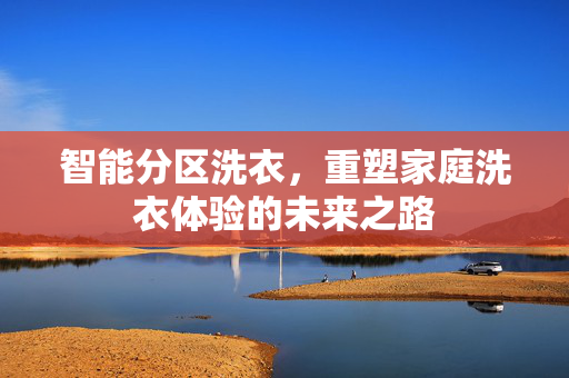 智能分区洗衣，重塑家庭洗衣体验的未来之路