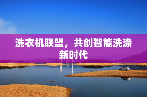 洗衣机联盟，共创智能洗涤新时代