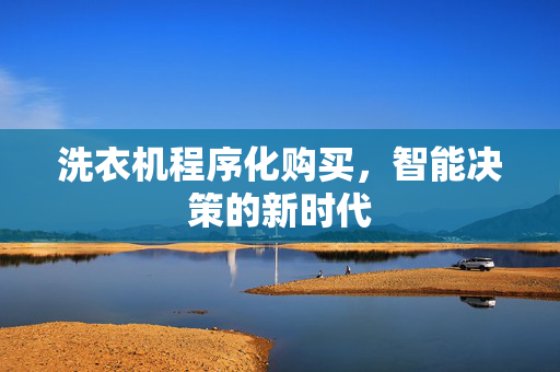 洗衣机程序化购买，智能决策的新时代