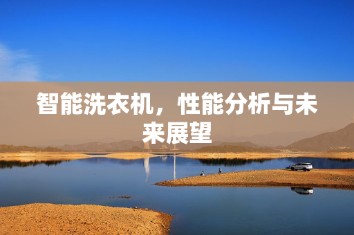 智能洗衣机，性能分析与未来展望