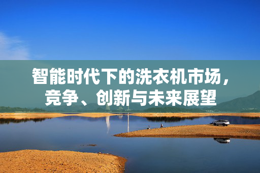 智能时代下的洗衣机市场，竞争、创新与未来展望