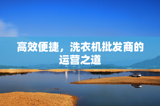 高效便捷，洗衣机批发商的运营之道