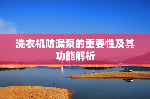 洗衣机防漏泵的重要性及其功能解析