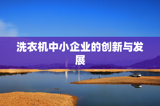 洗衣机中小企业的创新与发展