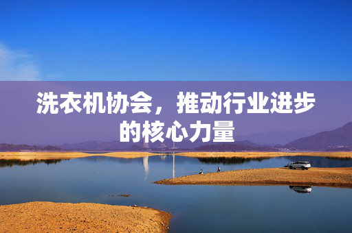 洗衣机协会，推动行业进步的核心力量