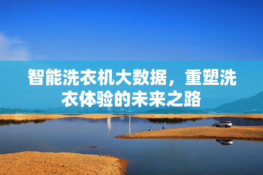 智能洗衣机大数据，重塑洗衣体验的未来之路