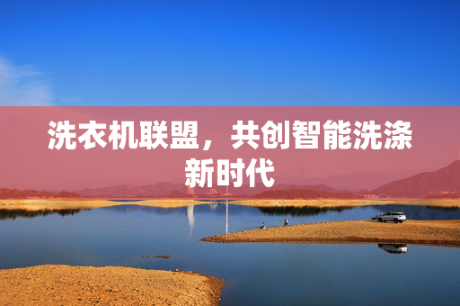 洗衣机联盟，共创智能洗涤新时代