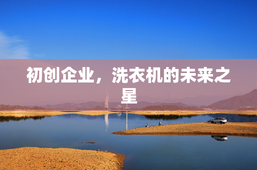 初创企业，洗衣机的未来之星