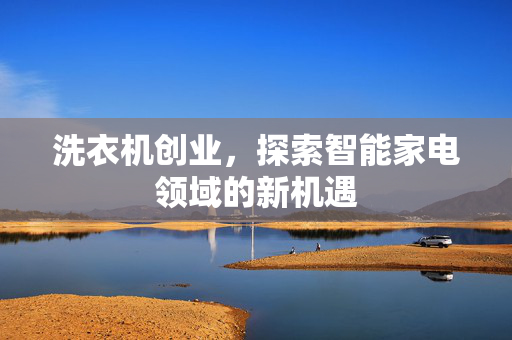洗衣机创业，探索智能家电领域的新机遇