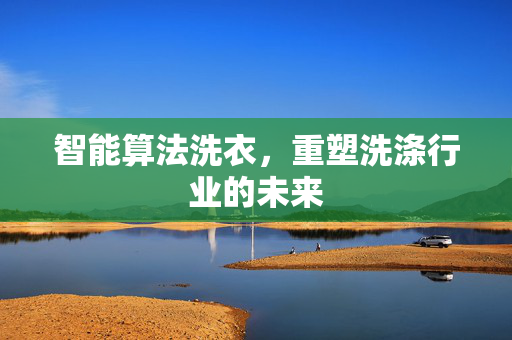智能算法洗衣，重塑洗涤行业的未来