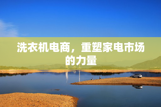 洗衣机电商，重塑家电市场的力量