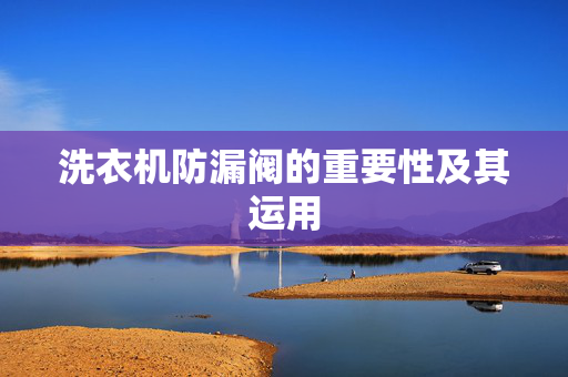 洗衣机防漏阀的重要性及其运用