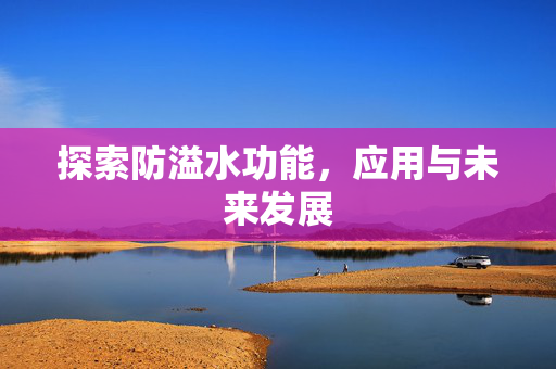 探索防溢水功能，应用与未来发展