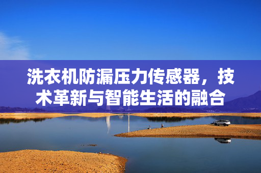 洗衣机防漏压力传感器，技术革新与智能生活的融合