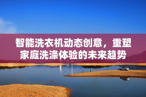 智能洗衣机动态创意，重塑家庭洗涤体验的未来趋势
