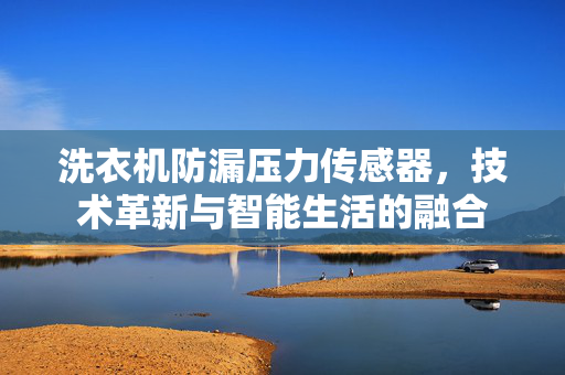 洗衣机防漏压力传感器，技术革新与智能生活的融合