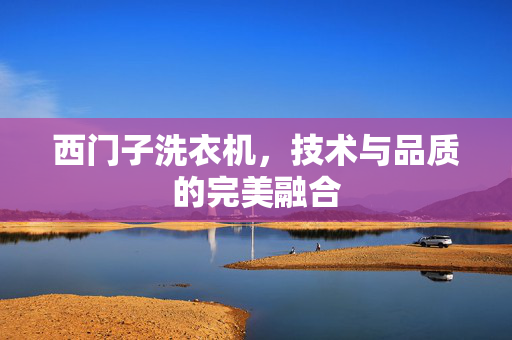 西门子洗衣机，技术与品质的完美融合