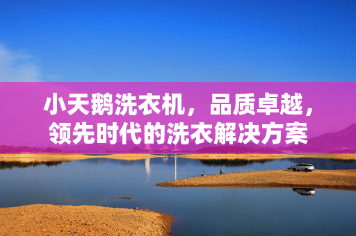 小天鹅洗衣机，品质卓越，领先时代的洗衣解决方案