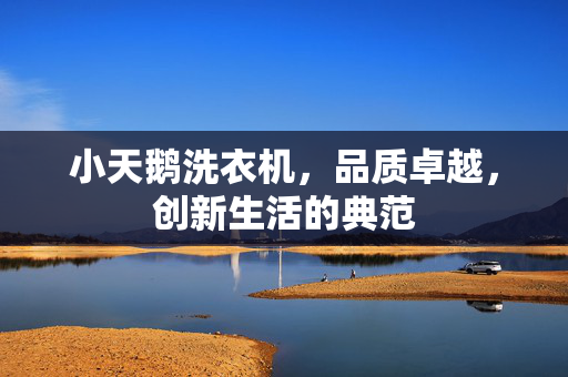 小天鹅洗衣机，品质卓越，创新生活的典范