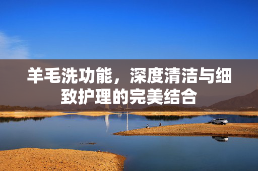 羊毛洗功能，深度清洁与细致护理的完美结合