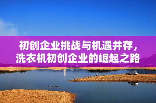 初创企业挑战与机遇并存，洗衣机初创企业的崛起之路