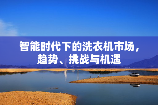 智能时代下的洗衣机市场，趋势、挑战与机遇