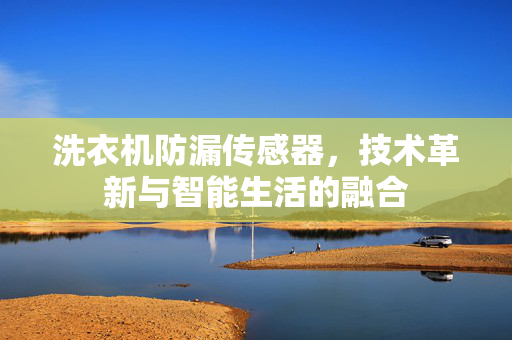洗衣机防漏传感器，技术革新与智能生活的融合