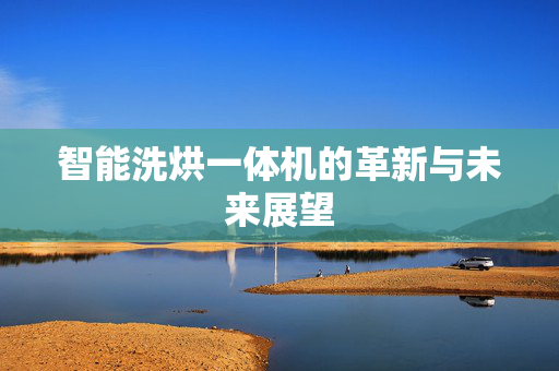 智能洗烘一体机的革新与未来展望