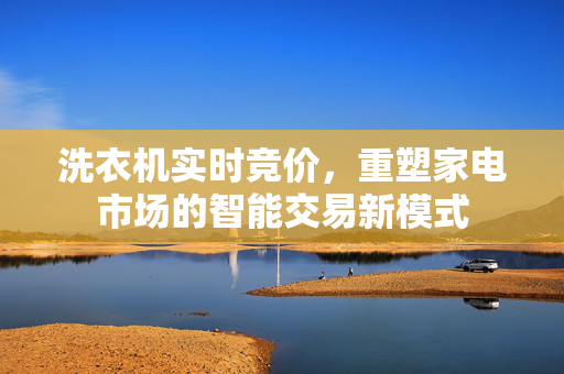 洗衣机实时竞价，重塑家电市场的智能交易新模式