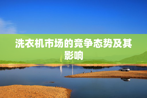 洗衣机市场的竞争态势及其影响