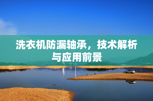 洗衣机防漏轴承，技术解析与应用前景