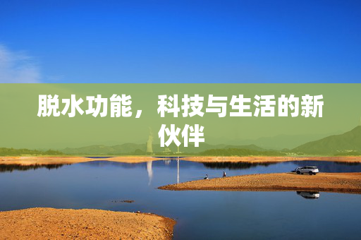 脱水功能，科技与生活的新伙伴