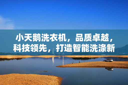 小天鹅洗衣机，品质卓越，科技领先，打造智能洗涤新体验