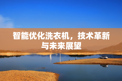 智能优化洗衣机，技术革新与未来展望