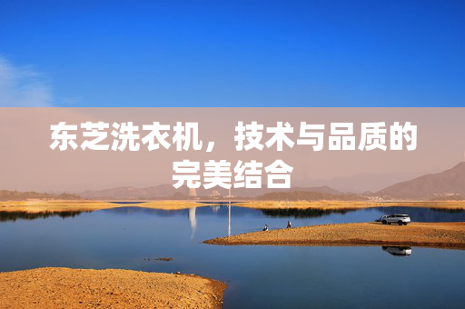 东芝洗衣机，技术与品质的完美结合