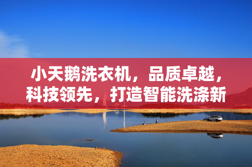 小天鹅洗衣机，品质卓越，科技领先，打造智能洗涤新体验
