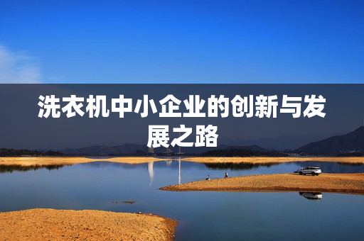 洗衣机中小企业的创新与发展之路