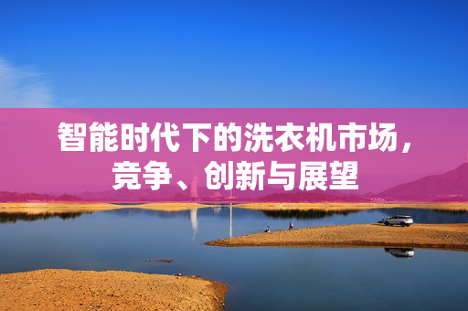 智能时代下的洗衣机市场，竞争、创新与展望