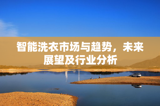 智能洗衣市场与趋势，未来展望及行业分析