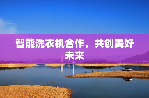 智能洗衣机合作，共创美好未来