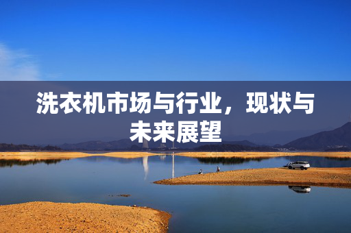 洗衣机市场与行业，现状与未来展望