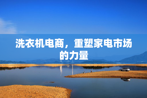 洗衣机电商，重塑家电市场的力量