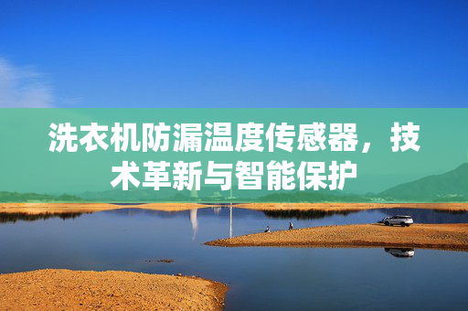 洗衣机防漏温度传感器，技术革新与智能保护