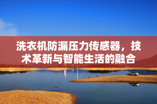 洗衣机防漏压力传感器，技术革新与智能生活的融合