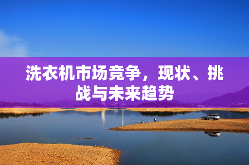 洗衣机市场竞争，现状、挑战与未来趋势