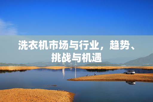 洗衣机市场与行业，趋势、挑战与机遇